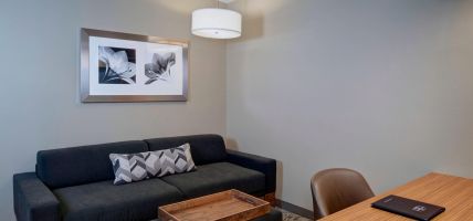 Hotel SpringHill Suites by Marriott St Louis Brentwood