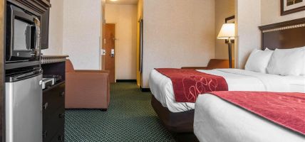 Hotel Comfort Suites (Canton)