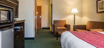 Hotel Comfort Suites (Canton)