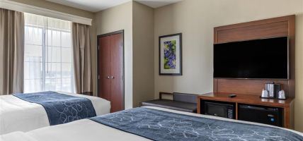 Hotel Comfort Suites Buda - Austin South