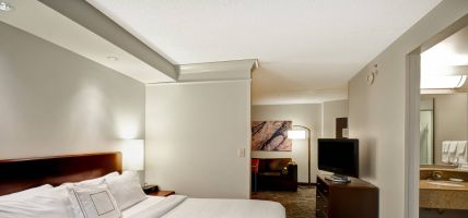 Hotel SpringHill Suites Louisville Airport (Strathmoor Manor)