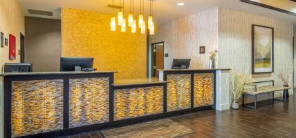 Comfort Inn and Suites Brighton Denver NE Medical Center