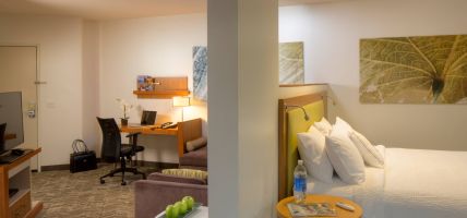 Hotel SpringHill Suites by Marriott Anchorage University Lake