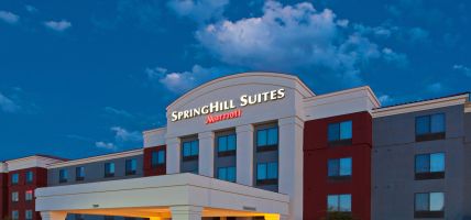 Hotel SpringHill Suites by Marriott El Paso