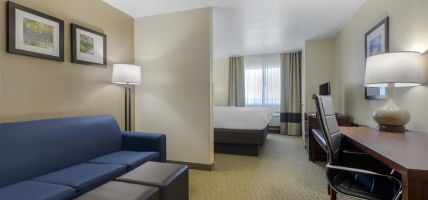 Hotel Comfort Suites (Benbrook)