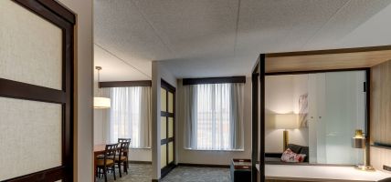 Hotel SpringHill Suites by Marriott Birmingham Downtown at UAB