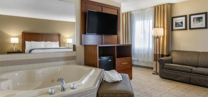 Comfort Inn and Suites Dimondale - Lansing