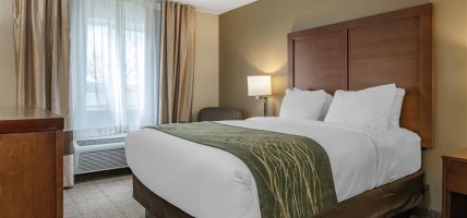 Comfort Inn and Suites Dimondale - Lansing