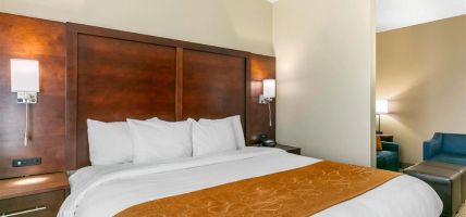 Hotel Comfort Suites (Hopkinsville)