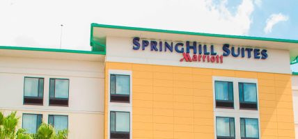 Hotel SpringHill Suites Orlando at SeaWorld® (Williamsburg)