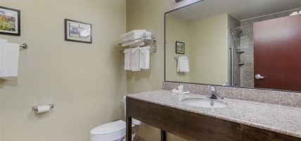 Hotel Comfort Suites Pflugerville - Austin North