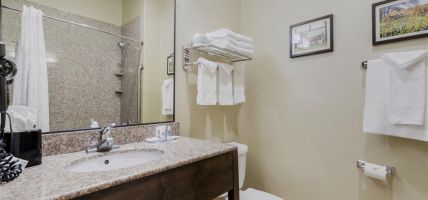 Hotel Comfort Suites Pflugerville - Austin North