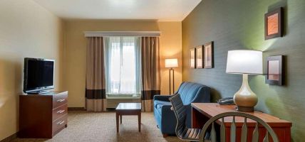 Comfort Inn and Suites (Salem)