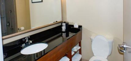 Hotel Comfort Suites Salem