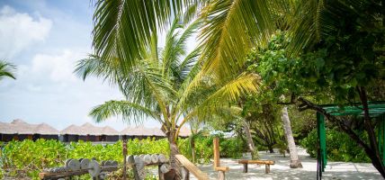 Hotel Sheraton Maldives Full Moon Resort and Spa (Male)