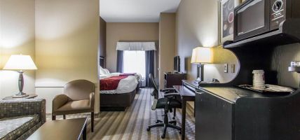 Hotel Comfort Suites Smyrna