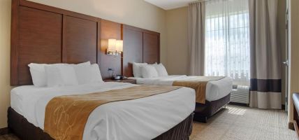Hotel Comfort Suites (Alexandria)