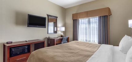 Comfort Inn and Suites Carbondale University Area