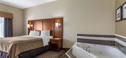 Comfort Inn and Suites Carbondale University Area