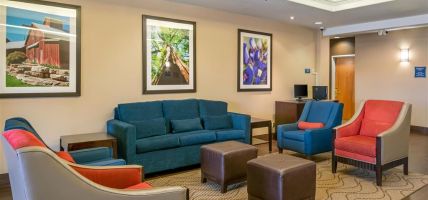Comfort Inn and Suites (Odessa)