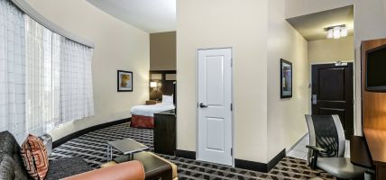 Hotel TownePlace Suites by Marriott San Antonio Downtown Riverwalk