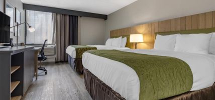 Comfort Inn and Suites (Syracuse)