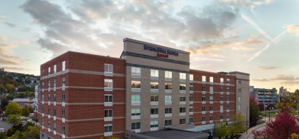 Hotel SpringHill Suites by Marriott Pittsburgh Southside Works (Mount Oliver)
