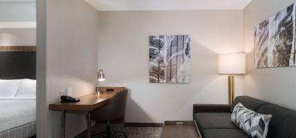 Hotel SpringHill Suites by Marriott Syracuse Carrier Circle