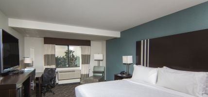 Holiday Inn Exp Stes Carlsbad