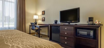 Comfort Inn and Suites (Dover)