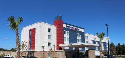 Hotel SpringHill Suites by Marriott Sumter