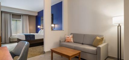 Hotel Comfort Suites Denham Springs