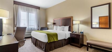 Comfort Inn and Suites Lakeside (Eagle Pass)