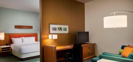 Hotel SpringHill Suites Houston Downtown/Convention Center