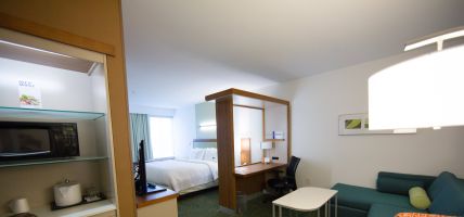 Hotel SpringHill Suites by Marriott Lumberton