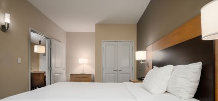 Hotel TownePlace Suites by Marriott Houston Galleria Area