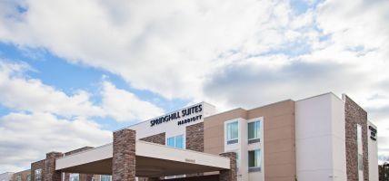 Hotel SpringHill Suites by Marriott Somerset Franklin Township