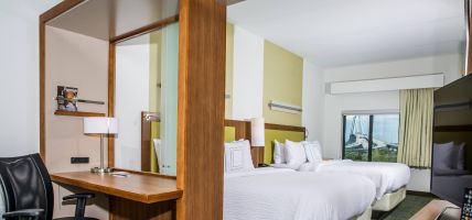 Hotel SpringHill Suites by Marriott Charleston Mount Pleasant