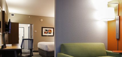 Holiday Inn Express & Suites LOUISVILLE DOWNTOWN (Louisville)