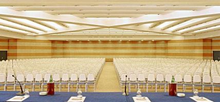 ERGIFE PALACE HOTEL AND CONFERENCE (Rome)