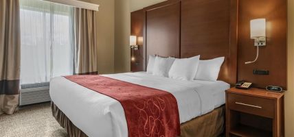Hotel Comfort Suites Manheim - Lancaster