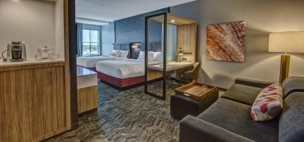 Hotel SpringHill Suites by Marriott Amarillo