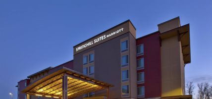Hotel SpringHill Suites by Marriott Chattanooga North-Ooltewah
