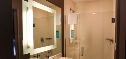 Hotel SpringHill Suites by Marriott Baltimore White Marsh Middle River (Bowleys Quarters)