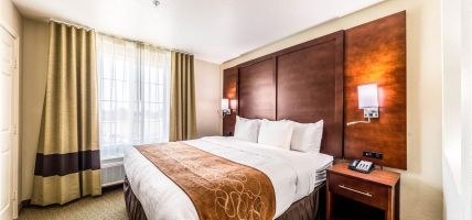 Hotel Comfort Suites Grand Prairie - Arlington North