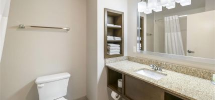 Quality Inn and Suites Carlsbad Caverns Area