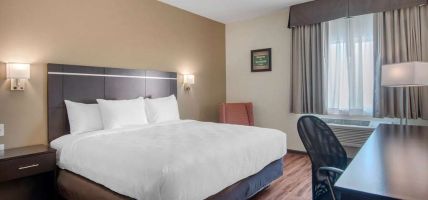 Econo Lodge Inn and Suites (Springfield)