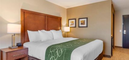 Comfort Inn and Suites Schenectady - Scotia