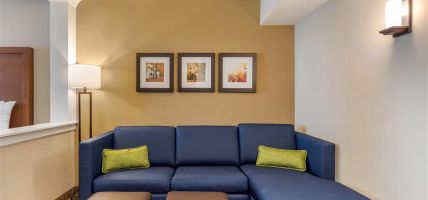 Comfort Inn and Suites Schenectady - Scotia