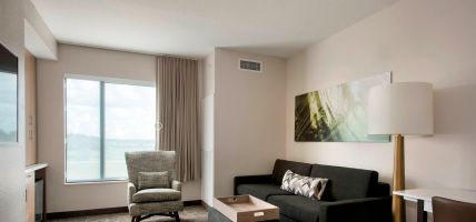 Hotel SpringHill Suites by Marriott Tampa Suncoast Parkway (Land O' Lakes)